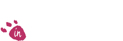 Boomer's Adventure in Asmik World logo for GameBoy